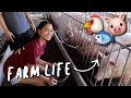 LIVING THE FARM LIFE + FEEDING ANIMALS! | ThatsBella