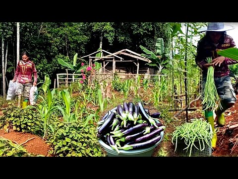 Menjual ke pasar,