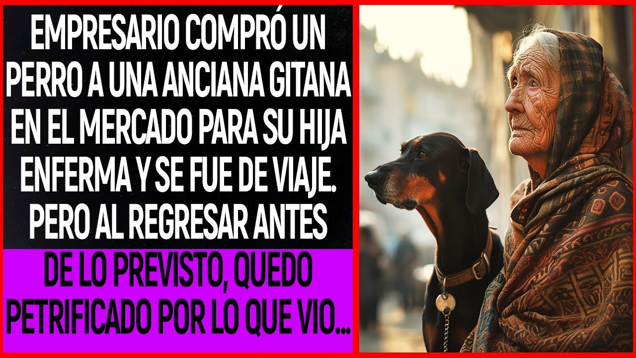 Empresario compró un perro a una anciana gitana en el mercado para su hija enferma y se fue de viaje