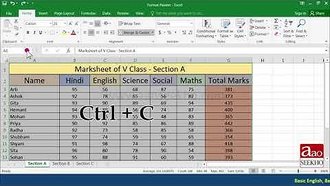 11 How To Use Format Painter In Excel 2016 2013 2010 2007 In Hindi – Lesson 10480P