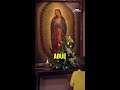 Virgencita, por fa 🙏🏼 😢 #tlnovelas #vivanlosniños