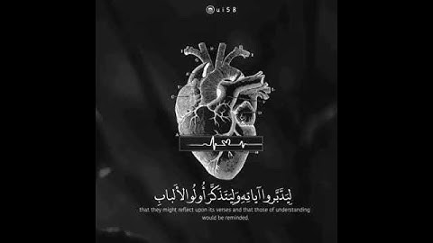اجمل حالات واتس اب قران كريم بصوت #اسلام_صبحى #كِتَابٌ_أَنزَلْنَاهُ_إِلَيْكَ_مُبَارَكٌ