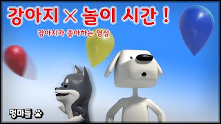 집사의 마법! 강아지 집중력 UP 놀이타임🐾 - Playtime to improve puppy concentration