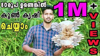 80 രൂപ ഉണ്ടെങ്കിൽ 800 രൂപയുടെ കൂൺ ഉണ്ടാക്കാം How To Grow Oyster Mushrooms | Tool Maker