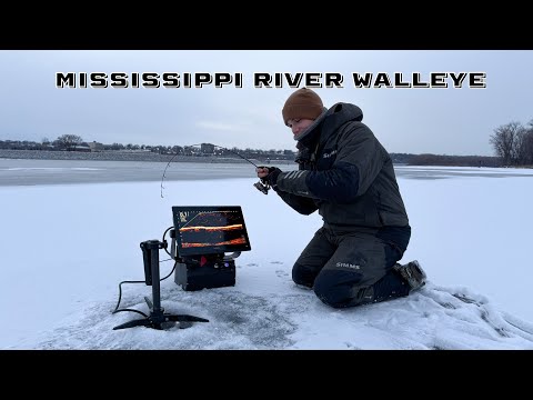 Ice Fishing Walleyes Near Open Water! (Mississippi River Backwaters)