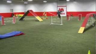 Luna Advanced Gamblers 3-9-13 USDAA Agility Trial
