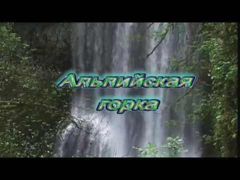 Альпийская горка - подборка.
