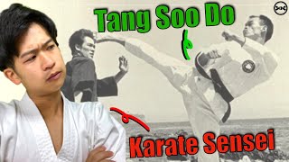 Japanese Karate Sensei Reacts To Tang Soo Do For The FIRST Time! screenshot 4