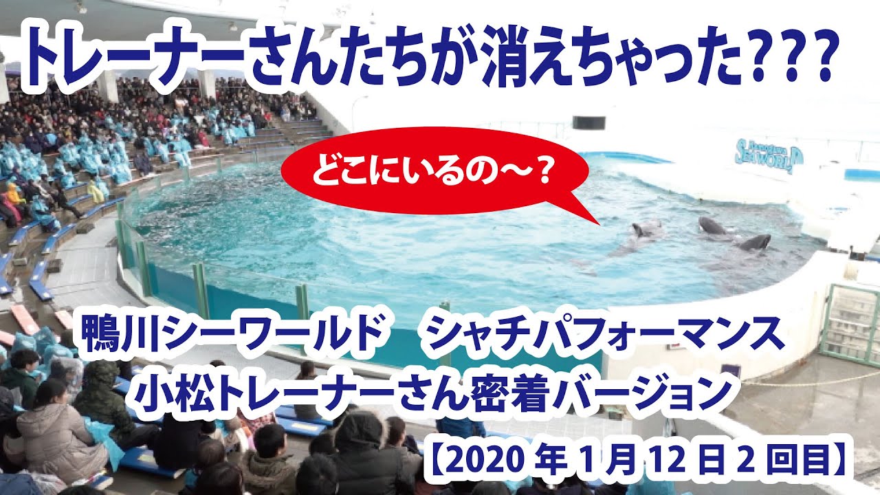 トレーナーさんたちが消えちゃった？？？　小松トレーナーさん密着バージョン【2020年1月12日2回目　鴨川シーワールド　シャチパフォーマンス】