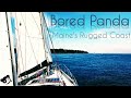 Sailing maines rugged coast asmr bored panda