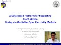 A Data-based Platform for Supporting Profit-driven Strategy in the Italian Spot Electricity Markets