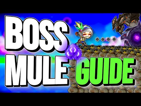 MapleStory ULTIMATE Boss Mule Guide 2025