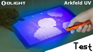 "Test" Cette lampe détecte les traces d'urine 🔦 "Olight Arkfeld UV" screenshot 3