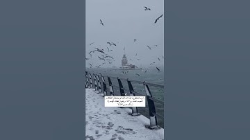 قرآن كريم ستوريات قرآنيه •حالات واتس اب دينيه قرآن • ستوريات دينيه قرآن الكريم •مقاطع انستقرام قرآن