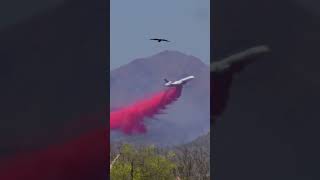 Slurry dropped on the 13,000 acre Wildcat fire