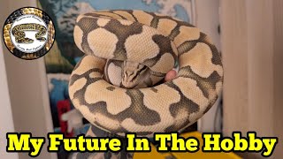 Ball Python Breeding Updates. My Future In The Hobby And More.