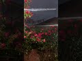Ye mausam tab hi romantic kyun hota hai? #rain #romantic #love #oldsong #kishorekumar