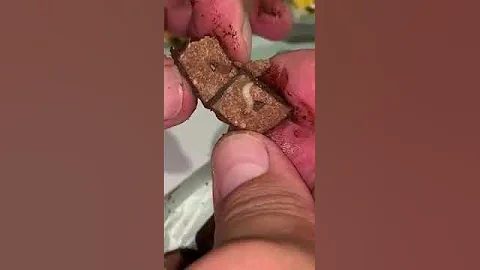 Конфеты с червями