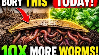 Watch Soil Wake Up video