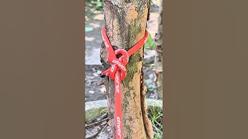 Strongest Easy Knot 💪 #StrongKnot #OutdoorHack #RopeWork #USATips #DIYShorts #shorts