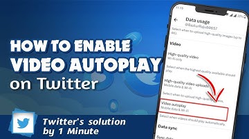 How to video auto play settings on Twitter 2024 | Initial Solution