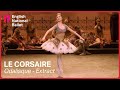 Le Corsaire: Odalisque with Shiori Kase (extract) | English National Ballet