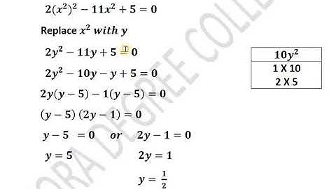 10th Math Exercise-1.3||Equations Reducible To Quadratic Form