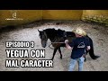 Doma de caballos Yegua con Mal carácter - Dulce - Episodio 3