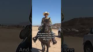 Riverside sheriff's deputy rescues abused horse