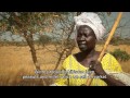 Turning the tide on desertification in Africa (7min43sec version)