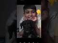 Dog lover 😍 #youtubeshorts #love