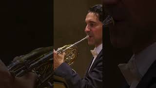 Dvořák: Symphony No. 5 #BerlinPhil #KirillPetrenko #LiveMusic #DigitalConcertHall #Symphony