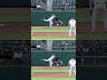 Henry Jackson 3-4 Hole Diving Play | William & Mary Baseball #caabaseball #collegebaseball