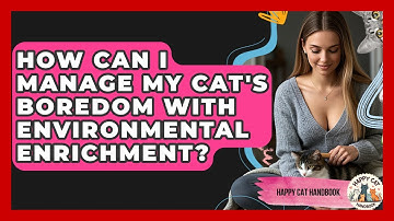 How Can I Manage My Cat