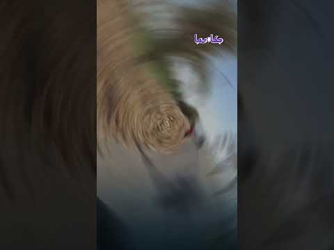 على قد ما تشيل خد القصب على الطريق فى قنا لاى حد مفيش زى الصعايدة فى الكرم