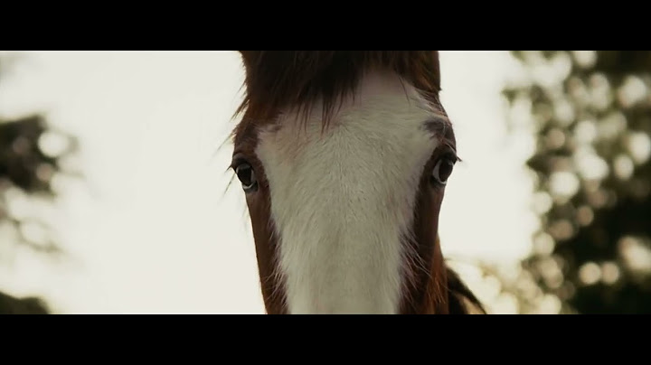 Budweiser ad | Super Bowl LIX 'First Delivery'