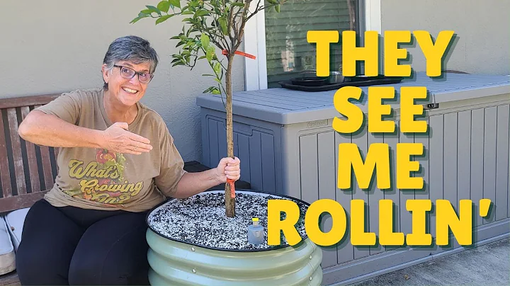 Vego Garden Self-Watering Rolling Planter | First Impressions @vego_garden 