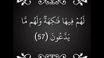 سورة يس ( كاملة ) القارئ زكريا عواد