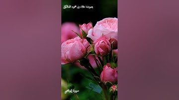 ما تيسر من سورة إبراهيم بصوت علاء بن محمود المالكي