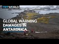 Global warming may lead to irreversible damages in Antarctica