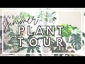 End Of Summer Plant Tour | Houseplant Tour 2021