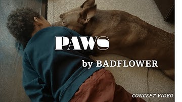 Paws-Badflower-Concept Video