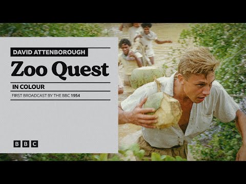 Zoo Quest in Colour | David Attenborough | BBC Select