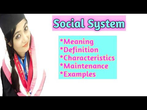 Meaning, definition, characteristics and maintenance of Social system with examples.