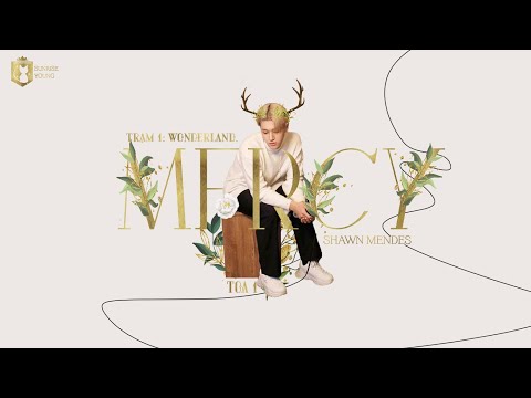 Video [EVENT][VIETSUB] Mercy - Shawn Mendes - youtube