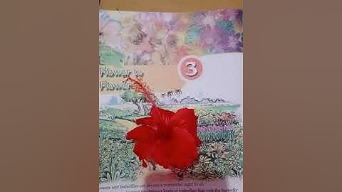6 standard Basic Science Chapter 3 Flower to Flower