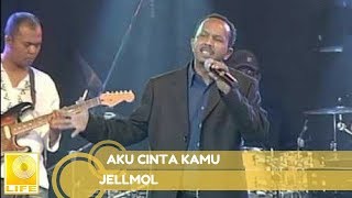 Jelmol - Aku Cinta Kamu