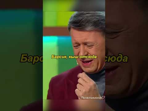 шерстяной фейерверк #уральскиепельмени #funny #смешныевидео