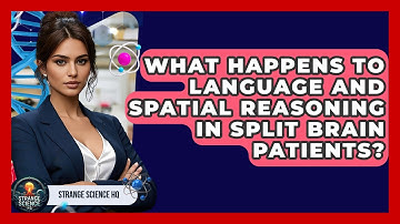 What Happens To Language And Spatial Reasoning In Split Brain Patients? - Strange Science HQ