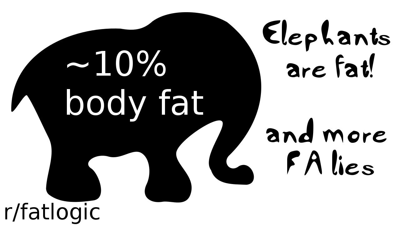r/fatlogic Elephants are Fat and Other Lies! YouTube